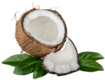 coconut-leafs