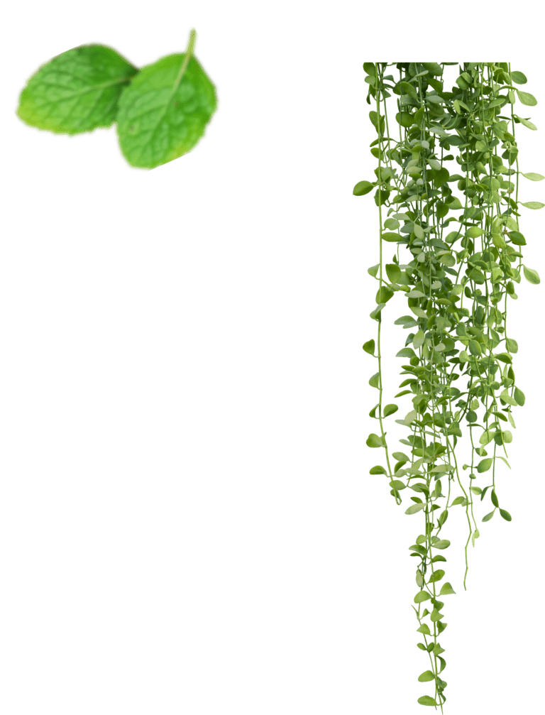 plant-vermicompost-banner
