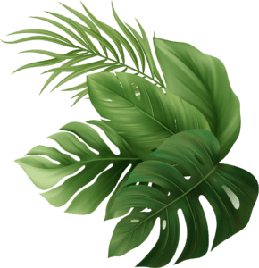 side-coconut