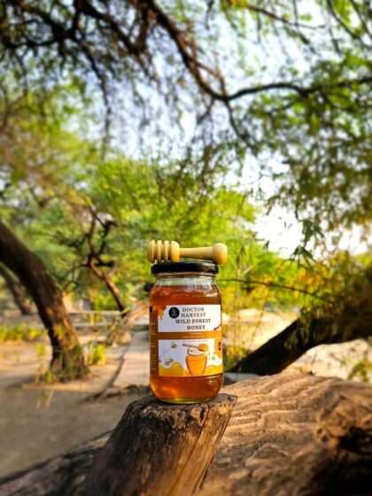 Organic Raw Wild Honey